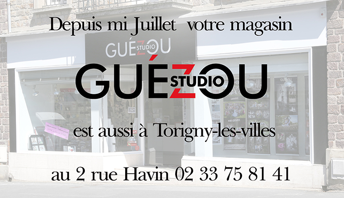 torigny les villes